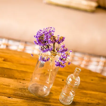 La Farmacia アパート グラン・タラハル